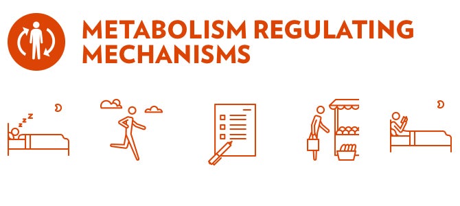 Metabolism Regulating Mechanisms From sleep to daily activities Metabolism Regulation Mechanisms affect all aspects of our lives.